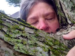 Yes, I'm Officially a Tree Hugger. — Held In The Heart