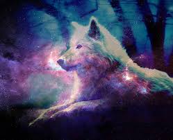 Galaxy Wolf Galaxy Wolf Wallpaper Wallpapersafari Wolf Wallpaper Galaxy Wolf Animal Wallpaper