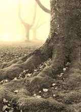 You're reading i will change the genre. Read Online I Will Make An Effort To Change The Genre Asianovel Online Reader We Are The Fastest Updated Web Novel And Light Novel Chapters On The Web