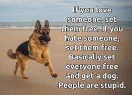 Set Everyone Free And Get A Dog People Are Stupid Love Quotes Life Quotes Funny Quotes Quote Funny Quotes Hilari If You Love Someone Dog Quotes Stupid People
