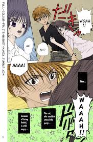 Fruits basket is a manga created and illustrated by natsuki taka and was published in hana to yume by hakusensha starting july 1998 and ended november 2006. Full Colour Fruits Basket Manga