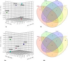Plant and animal cells graphic organizer. Uncovering The Hidden Bacterial Ghost Communities Of Yeast And Experimental Evidences Demonstrates Yeast As Thriving Hub For Bacteria Scientific Reports