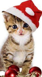 Happy Christmas From Purrlux Com Christmas Cats Christmas Kitten Xmas Pictures
