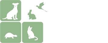 Castro valley animal hospital doctors and caring staff members are committed to provide your pets exceptional quality pet health and veterinary medical care. Veterinarian In Fountain Co Fountain Creek Veterinary Clinic