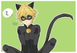 Adrien Chat Noir X Reader One Shot Female Miraculous Ladybug Chat Noir Ladybug
