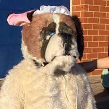 Nana Costume St Bernard Dog Costume From Disney Peter Pan 7 Steps Dog Costume Bernard Dog Dog Costumes