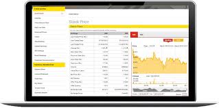 Investor Relations Solutions And Services Dion Global