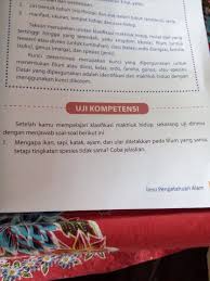 Hiu berenang menggerakan seluruh badan ke kiri dan kanan mirip reptilia. Tolong Jawab Yang Benar Soal 1 2 3 4 5 Brainly Co Id