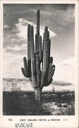 Route 95, about 60 miles northwest of las vegas in the mojave desert. Arizona Cities Other Postcards Images