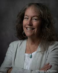 We asked Southport's candidates where they stand