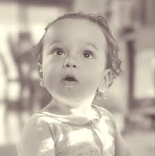 Lingcod Fish: Personal Experiences and Stories