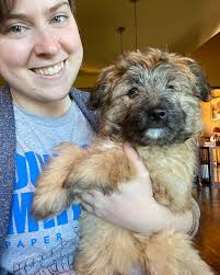 WHERE IS Snoop? Send me a friend request so I can designate you as an admin  here. Between Snoop, Paulina and myself I feel great about this group and  movement