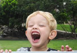 Annual Report 2013-2014