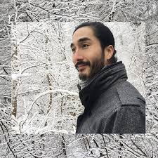 back in zurich and winter turned the forest all white winter snow nature portrait asian minimal white