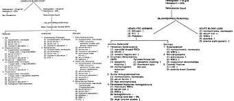 66 Thorough Anemia Flow Chart Mcv