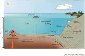 The deep sea or deep layer is the lowest layer in the ocean, existing below the thermocline and above the seabed, at a depth of 1000 fathoms (1800 m) or more. A New Report On The Deep Seas Arctic Portal