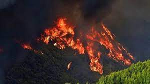 Jun 03, 2021 · πέμπτη, ιουνίου 03, 2021 ακίνητα, ελλαδα, οικονομια σημαντικές αλλαγές θα ισχύσουν από τη νέα χρονιά για τον ενφια, καθώς θα γίνει νωρίτερα η πληρωμή του, ενώ θα αυξηθούν και οι δόσεις. Ummdcch 59lgnm