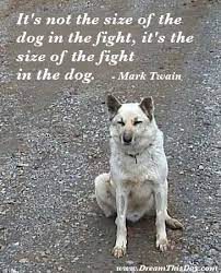 Funny Dog Motivational Quotes Quotesgram