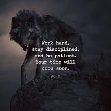 Work Hard Stay Disciplined And Be Patient Your Time Will Come Soon Warrior Quotes Wolf Quotes Life Quotes