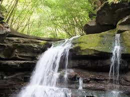 Around palazzuolo the flourishing woodland area surrounding it allows products outstanding in the autumn, and for this reason the traditions present in. Palazzuolo Sul Senio Mapio Net