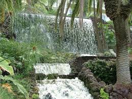 Parque Taoro Ein Wassergarten Auf Der Insel Teneriffa Teneriffa Teneriffa Urlaub Spanien