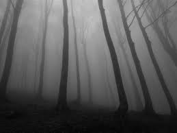 Huge collection, amazing choice, 100+ million high quality, affordable rf and rm images. 750 Creepy Forest Pictures Download Free Images On Unsplash