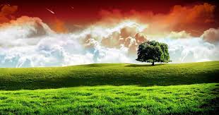 • see all favorites images together. Http 2 Bp Blogspot Com H9vnxn Republic Day Indian Flag Nature Background 1200x630 Download Hd Wallpaper Wallpapertip