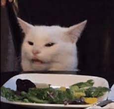 Cat Real Housewives Of Beverly Hills Gif Cat Realhousewivesofbeverlyhills Vegetables Discover Share Gifs Cat Memes Cats Animals