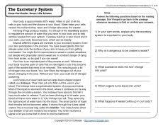 Excretory System Reading Worksheets Spelling Grammar Comprehension Lesson Plans Excretory System Human Body Systems Reading Comprehension