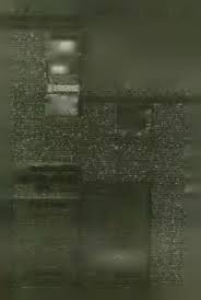 T h e O b s e r v e r