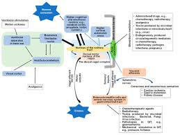 Image result for Chronic Functional Vomiting