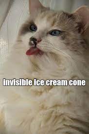 Invisible Ice Cream Cone Ragdoll Cat Cats Funny Cat Memes