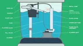 How to Fix a Toilet that Randomly Runs Plus Other Problems | HGTV