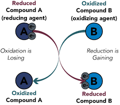 Image result for Redox Reaction