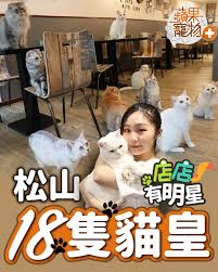 南京三民站 位於 台灣 台北市 松山區 ，當地地名「 頂東勢 」，為 台北捷運 松山新店線 （ 松山線 ）的 捷運車站 。 å—äº¬ä¸‰æ°'hashtag Posts On Twitter And Instagram Pictures And Videos Offerdos Com