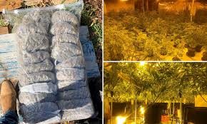 The australian broadcasting corporation's offices in sydney were searched by the federal police on wednesday, a day after a raid. Three South Australian Men Charged In Major Cannabis Drug Bust In Adelaide Daily Mail Online
