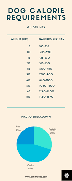Check spelling or type a new query. How Many Calories Of Food Per Pound Of Body Weight Does My Dog Need Can My Dog How Many Calories Always Feeling Hungry Weight