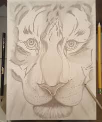 Paige Shackleton (@shackpa25)