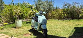 Image result for Verde 1963 Piaggio
