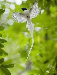 Harga list gypsum pun beragam tergantung tipe dan ukuran yang dibeli. 270 Ide Kongliong Desain Pintu Utama Kayu Desain Dinding Tv Desain Tempat Tidur Kayu