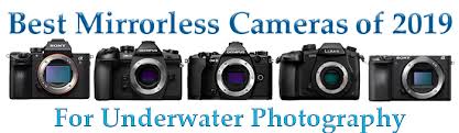 Mirrorless Camera Comparison Chart Bluewater Photo