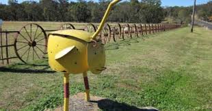 This A Home Made Letterbox In The Shape Of An Emu It S In Coonabarabran Cool Mailboxes Unique Mailboxes Mailbox