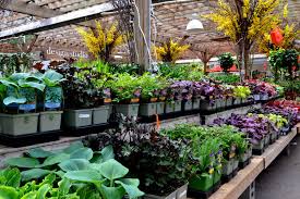 Gardening has so much fun. The Top 10 Garden Centres In Toronto