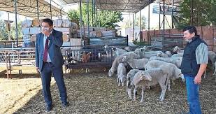 Avec les manettes xbox de la dernière génération, en plus d'avoir une expérience de jeu améliorée, il est aussi nécessaire. Iskur Sayesinde Hayaline Kavustu Ekonomi Haberleri