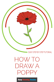 Simple drawing lessons for kids and beginners. How To Draw A Poppy Really Easy Drawing Tutorial