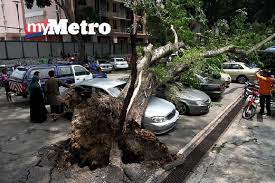 Maybe you would like to learn more about one of these? Tiba Tiba Pokok Tumbang Harian Metro
