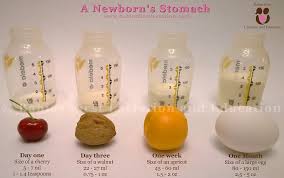 The Newborns Stomach Newborn Stomach Size Baby Feeding