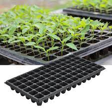 How to make new plants by cutting pieces off the parent plant. China Pvc Seed Tray Plastic Cell Seed Starter Tray Plastic Seedling Trays For Planting Seedlings Propagation Germination 2021 China Seedling Tray And Seed Starter Tray Price