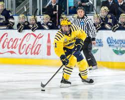 Complete player biography and stats. Zach Hyman Successful Nhl Player And Children S Book Author Howtheyplay