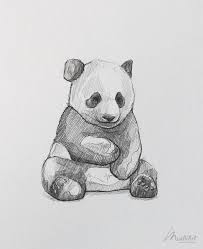 My Sketchbook Art Portfolio I Endangered Vulnerable Threatened Species Animals I Art Ideas Sketches I Animal Drawings Sketches Animal Sketches Panda Art